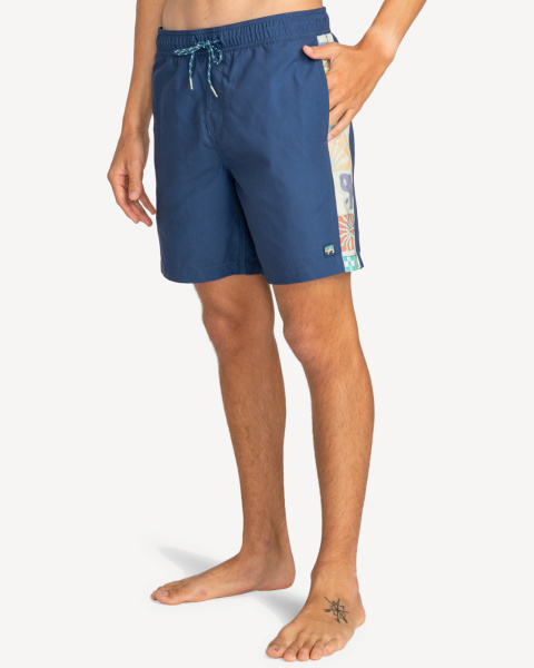 Шорты для плавания Dbah Layback 17.5'' (Мужской; L (50); dark blue)